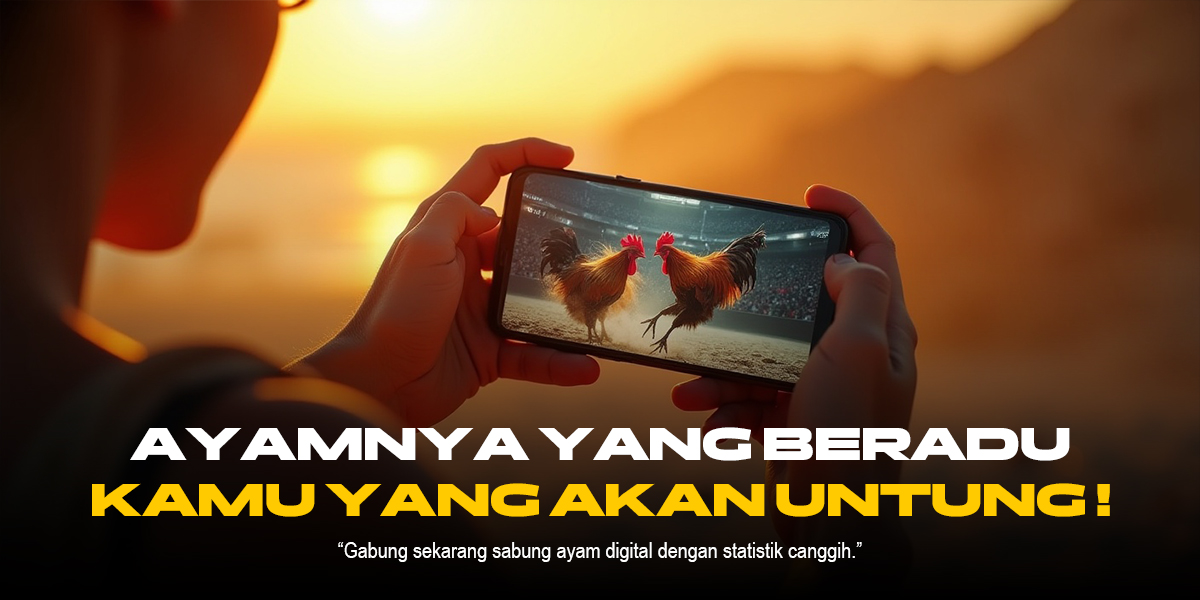 Melacak Fenomena Sabung Ayam: Dari Tradisi Hingga Tantangan Modern
