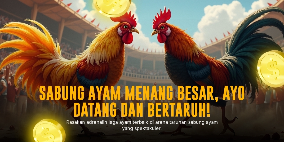 Odds Sabung Ayam SV388: Raih Untung Maksimal dengan Strategi Tepat
